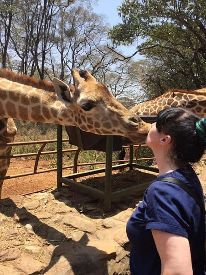 Nairobi: Elephant Orphanage, Beads Factory , giraffe center - Sheldrick Wildlife Trust: an hour with rescued elephants