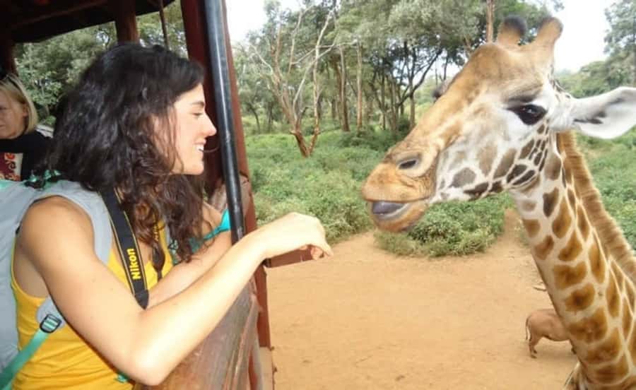 Nairobi: Elephant Orphanage Trust and Giraffe Center Tour - What the $115 price really covers