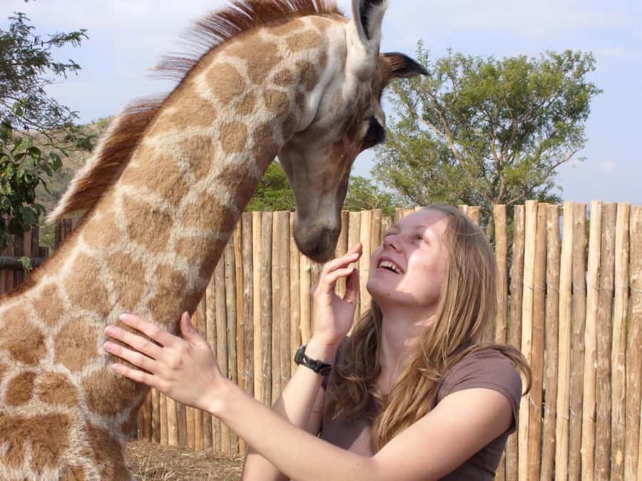 Nairobi: Elephant Orphanage Trust and Giraffe Center Tour - Starting at the Giraffe Centre