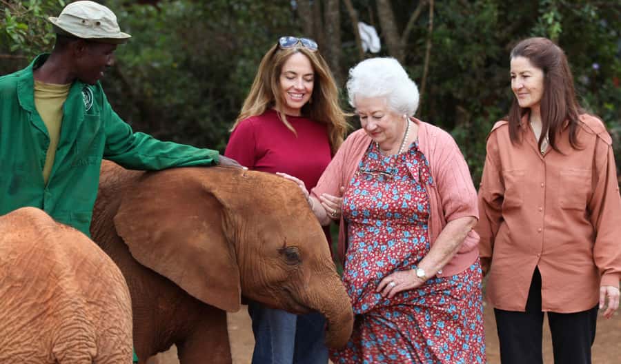 Nairobi: Elephant Sanctuary and Giraffe Center Day Tour - Key points before you book