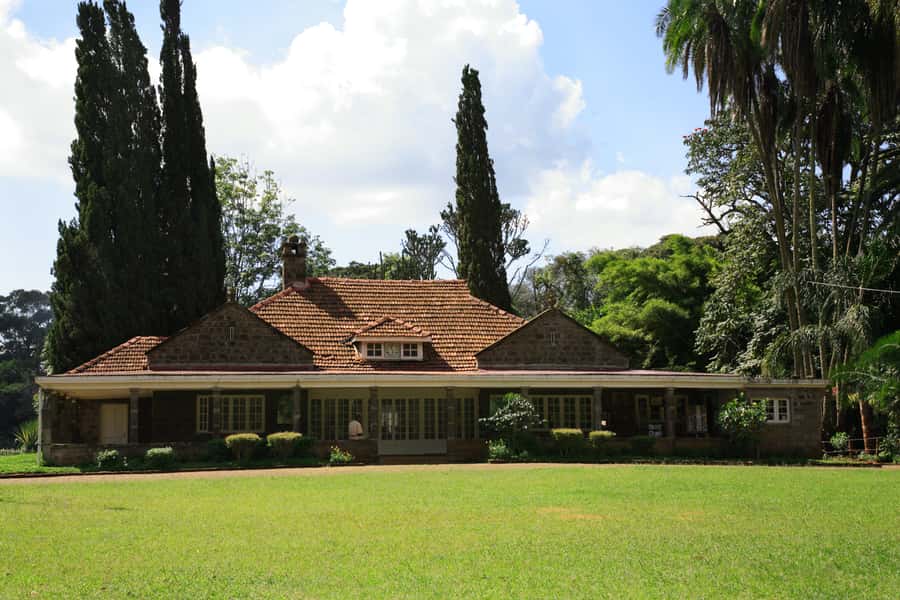 Nairobi: Elephants, Giraffes and Museum Small-Group Day Tour - Looking a Rothschild giraffe in the eye