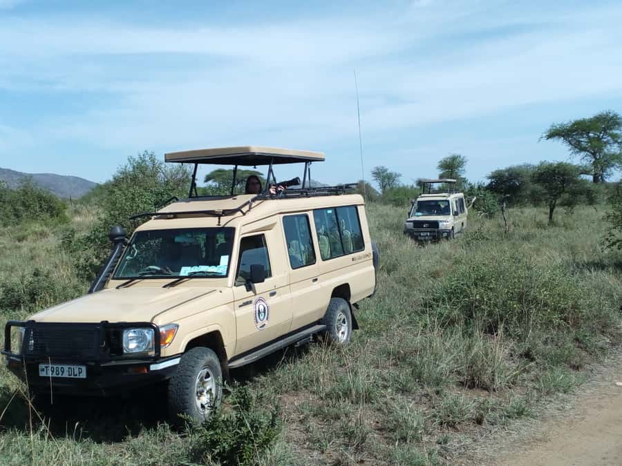 Nairobi: Elephants, Giraffes, Karen Blixen & Bomas Tour - Why this Nairobi day tour works