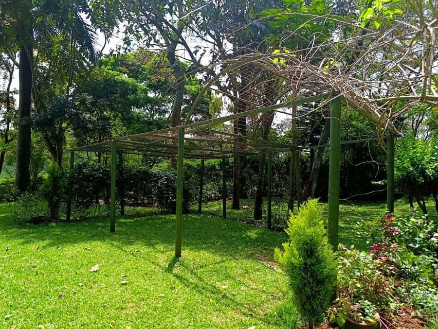 Nairobi: Fairview Coffee Estate Tour with Pickup - What the $38 price really buys you