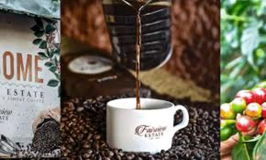 Nairobi: Fairview Coffee Estate Tour with Pickup - A Kenyan welcome with coffee and sweet bites