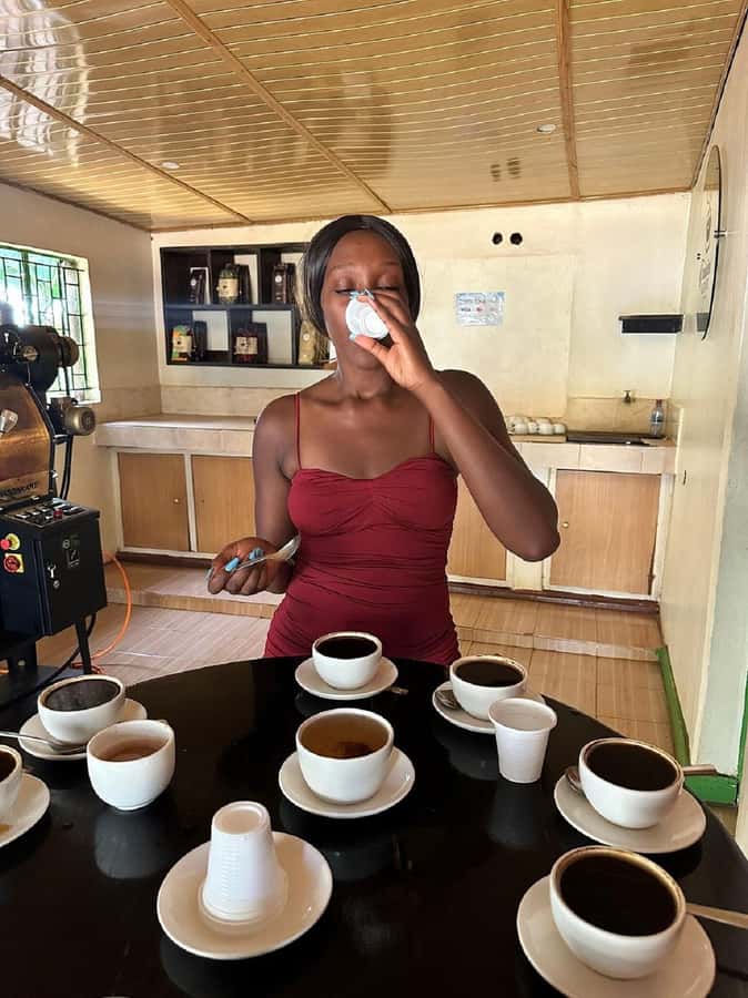 Nairobi: Fairview Coffee Estate Tour with Transfers - Key points to know before you book