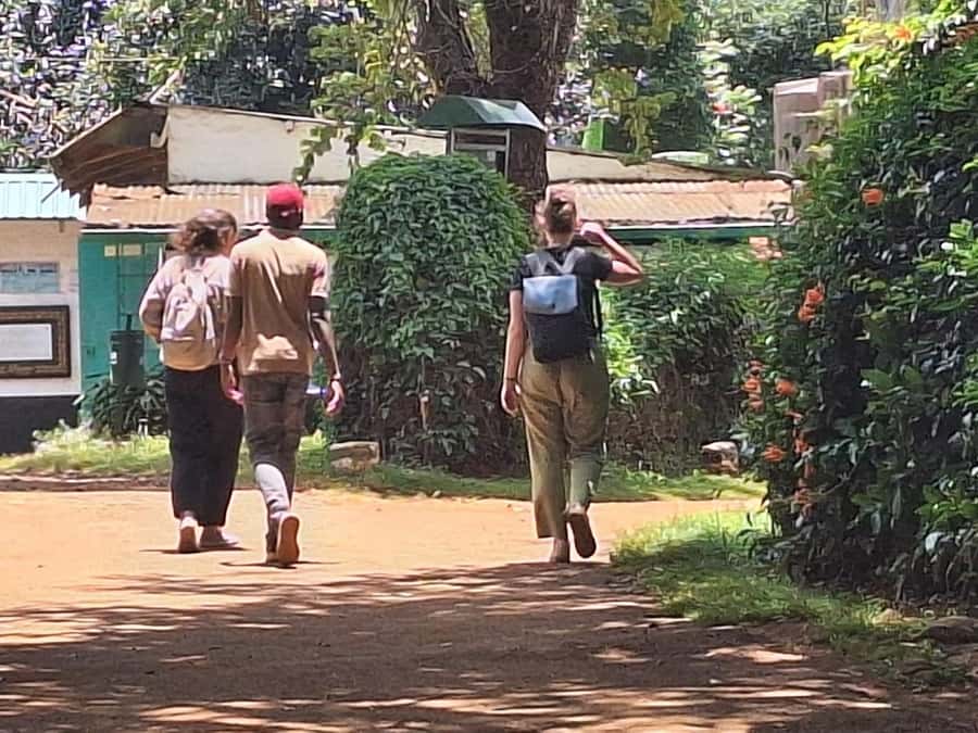 Nairobi: Fairview Coffee Estate Tour with Transfers - Why Fairview is a useful introduction to Kenyan coffee