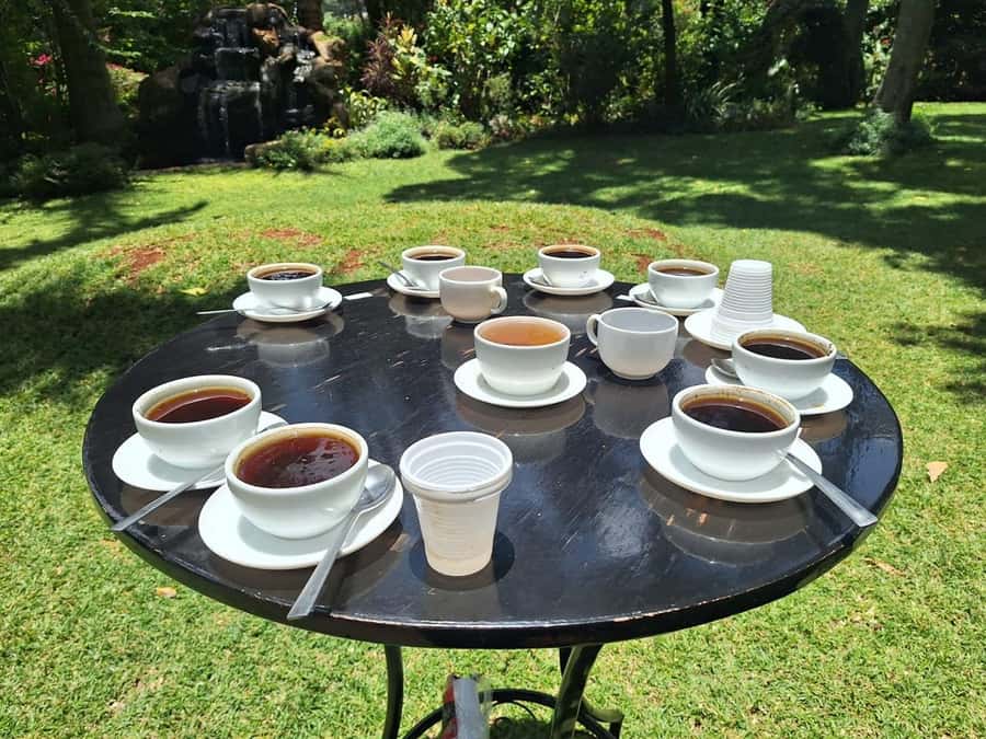 Nairobi: Fairview Coffee Estate Tour with Transfers - From coffee plant to Fairview Estate brand