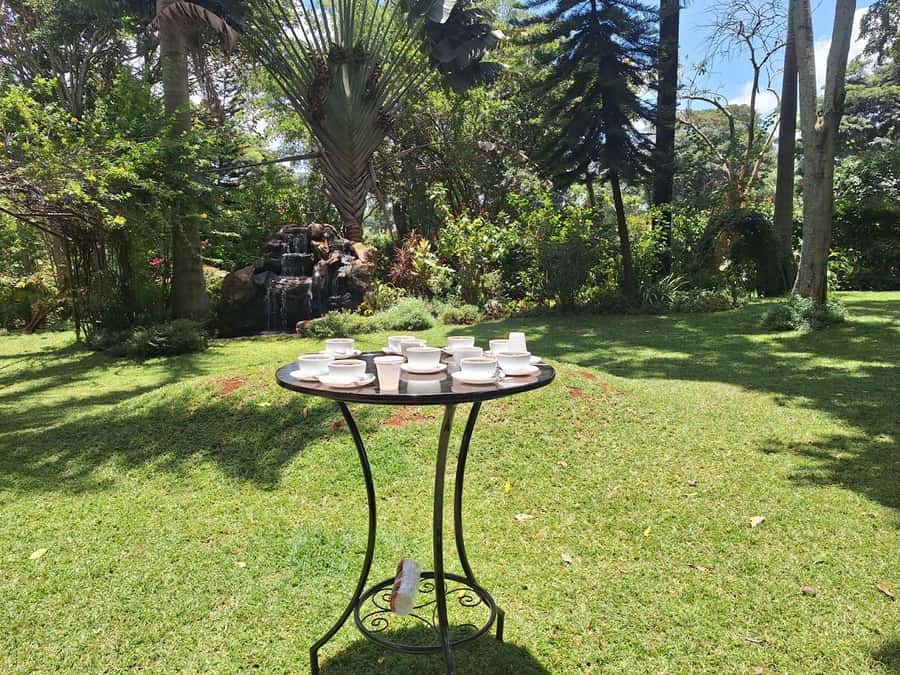 Nairobi: Fairview Coffee Estate Tour with Transfers - The coffee tasting: modest, but well placed