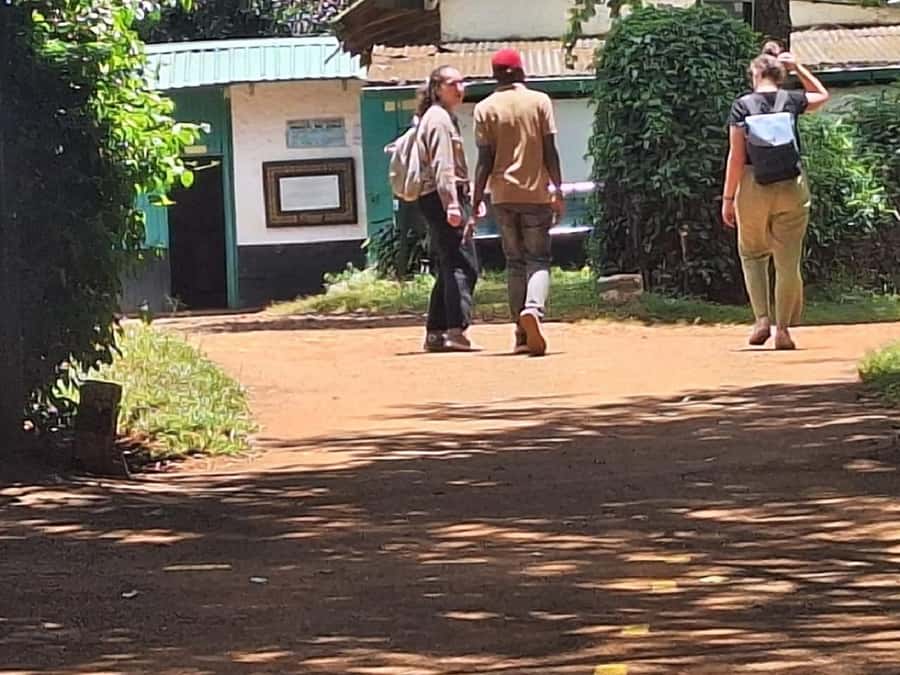 Nairobi: Fairview Coffee Estate Tour with Transfers - Who will enjoy this six-hour outing