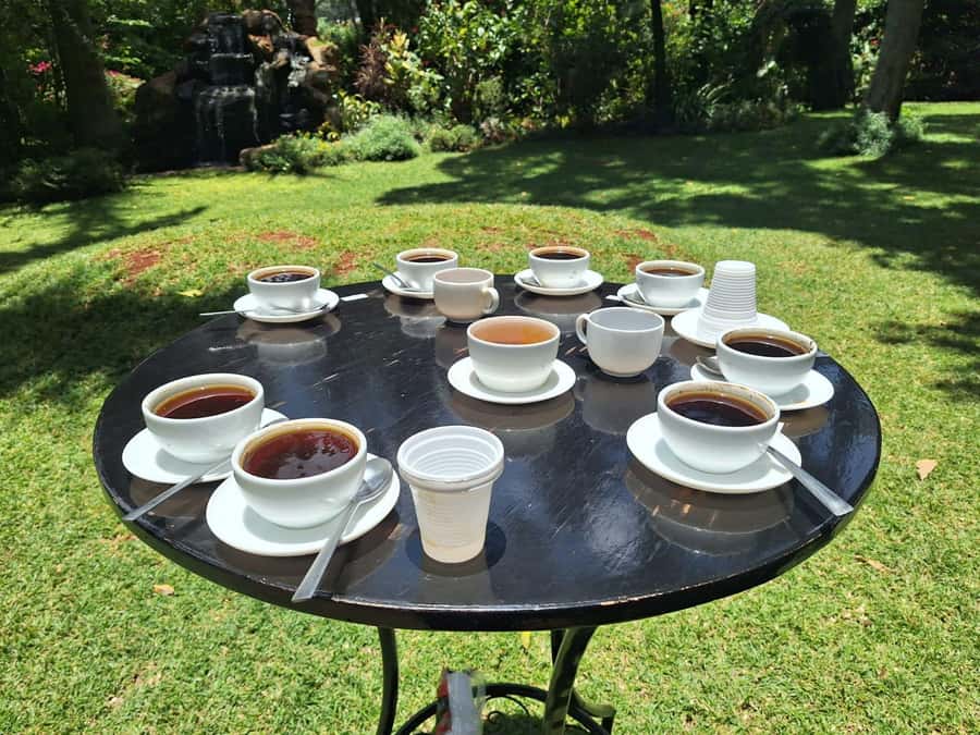Nairobi: Fairview Coffee Estate Tour with Transfers - What to bring and how to prepare
