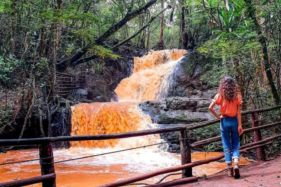 Nairobi: From Nairobi-Karura Forest Guided Walking Tour - Key Points Before You Book