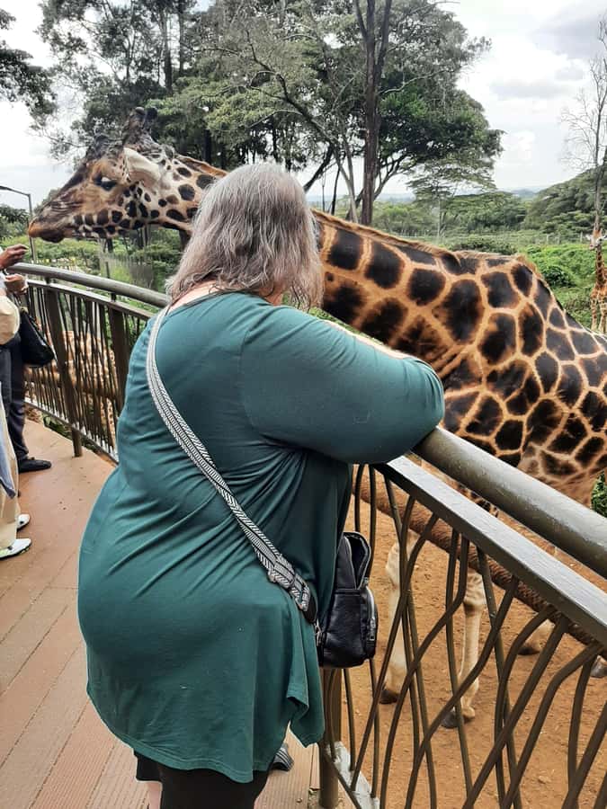 Nairobi: Game drive, elephant Orphanage & giraffe centre. - My call: book it for variety and ease