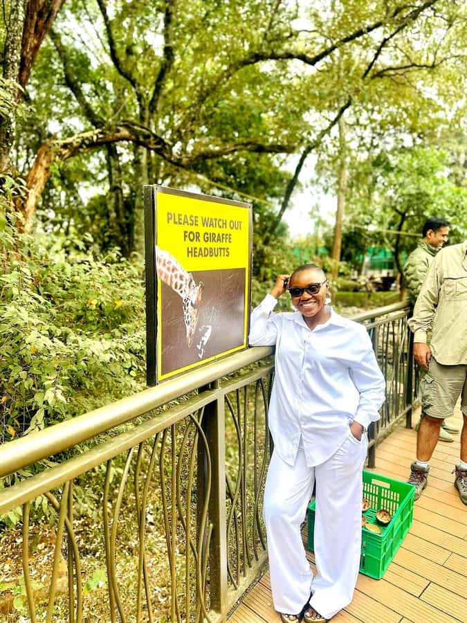 Nairobi: Game drive, elephant Orphanage & giraffe centre. - The souvenir stop is useful, with one caveat
