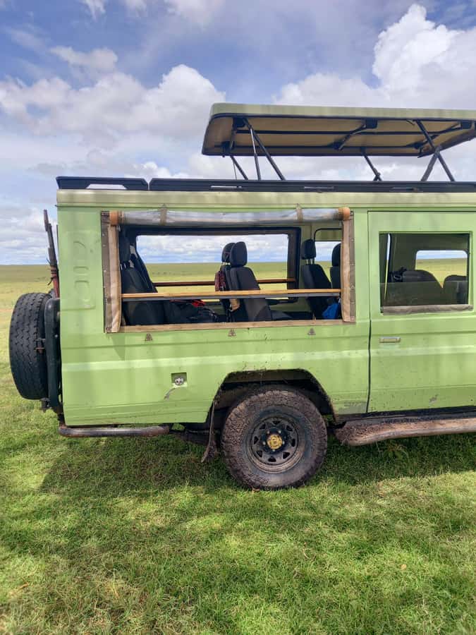 Nairobi: Game drive, elephant Orphanage & giraffe centre. - Who will enjoy this Nairobi day most