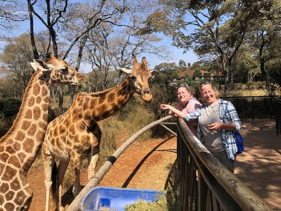 Nairobi:Giraffe Center, Baby Elephant and Beads factory Tour - Practical advice for a smoother day