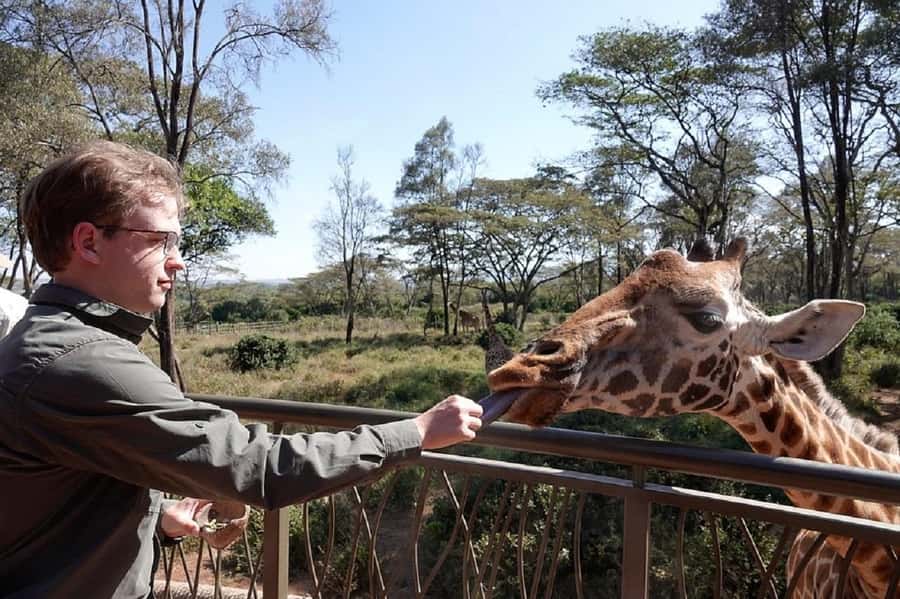 Nairobi:Giraffe Center, Baby Elephant and Beads factory Tour - Why this Nairobi combination works