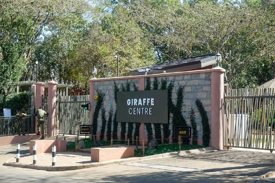 Nairobi:Giraffe Center, Baby Elephant and Beads factory Tour - What the $32 price really buys