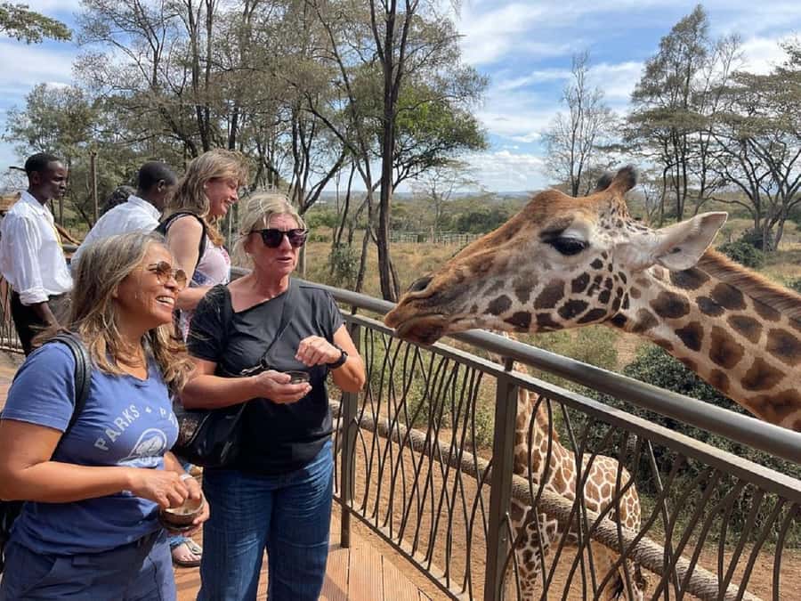 Nairobi:Giraffe Center, Baby Elephant and Beads factory Tour - Who will enjoy this half-day outing