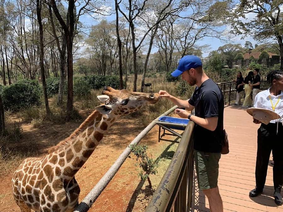 Nairobi:Giraffe Center, Baby Elephant and Beads factory Tour - A close start at the Giraffe Centre