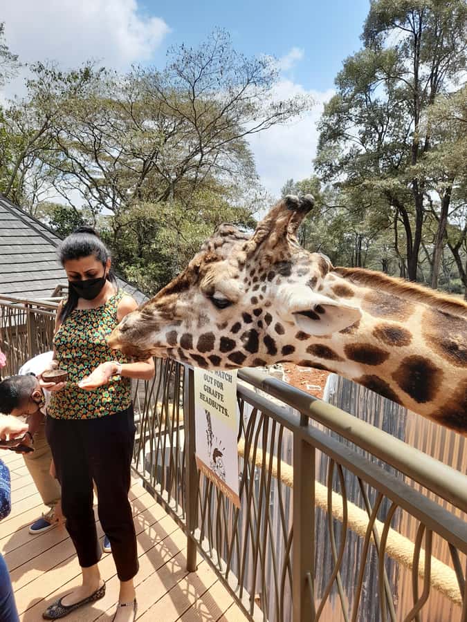 Nairobi: Giraffe Center, Beads Factory & Bomas of Kenya Tour - Should you book the Giraffe Centre, Beads Factory, and Bomas tour?