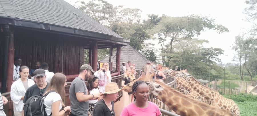 Nairobi: Giraffe Centre, Elephant Nursery & Karen Blixen - Karen Blixen’s former home