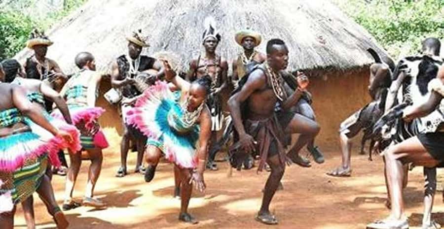 Nairobi: Guided Afternoon Tour to Bomas of Kenya. - Why Bomas of Kenya works as a first cultural stop