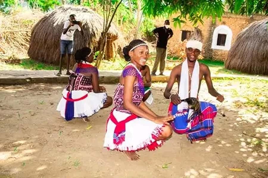 Nairobi: Guided Afternoon Tour to Bomas of Kenya. - Walking through the homesteads and cultural displays