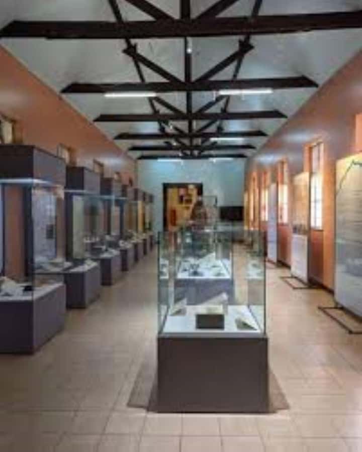 Nairobi: Guided City Tour with Nairobi National Museum Entry - The guide can make or break the museum visit