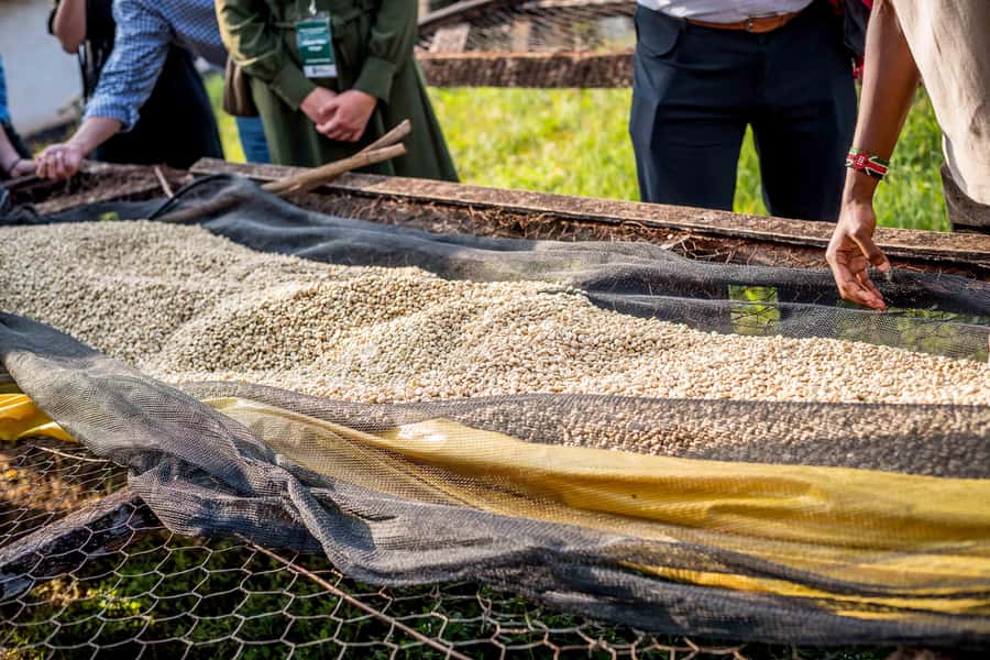 Nairobi: Guided Coffee Farm Tour with Tastings - Booking, cancellation, and timing tips