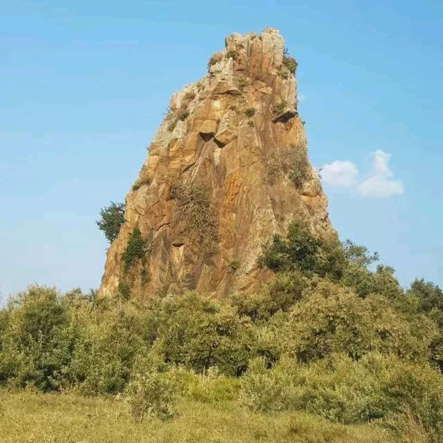Nairobi: Hell's Gate National Park and Lake Naivasha Tour - Key points to know before booking