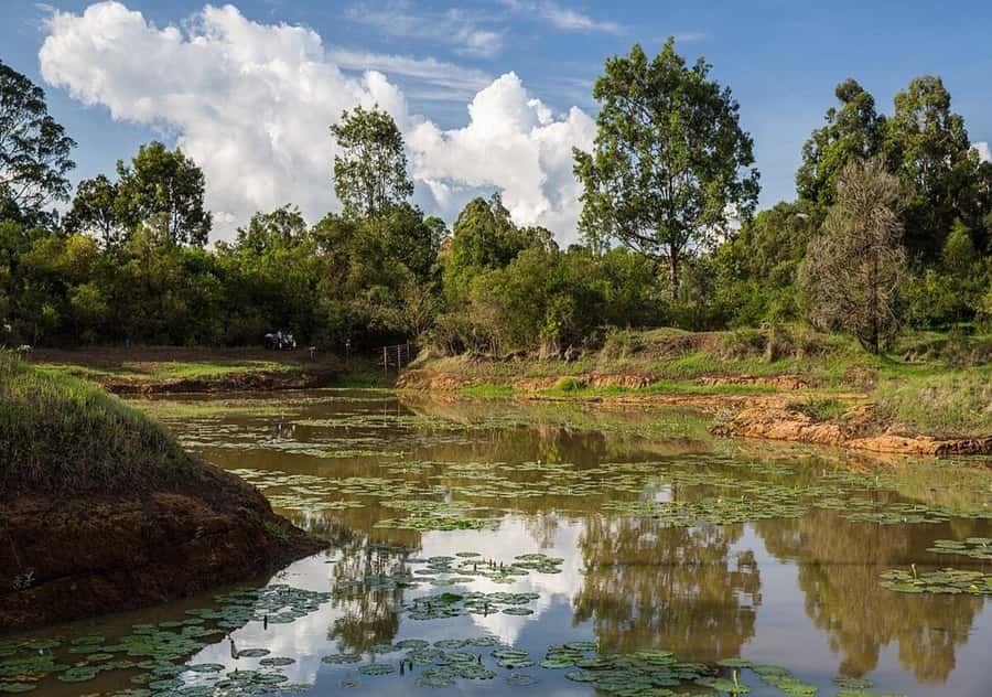 Nairobi: Hidden Waterfalls Hike & Forest Picnic in Karura - Key points to know before you book