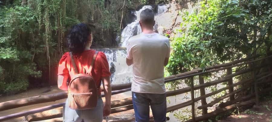 Nairobi: Hidden Waterfalls Hike & Forest Picnic in Karura - Bamboo groves, streams, and possible wildlife sightings
