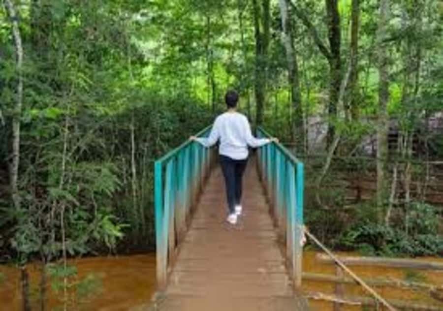 Nairobi: Hidden Waterfalls Hike & Forest Picnic in Karura - Starting with pickup from your Nairobi hotel or airport