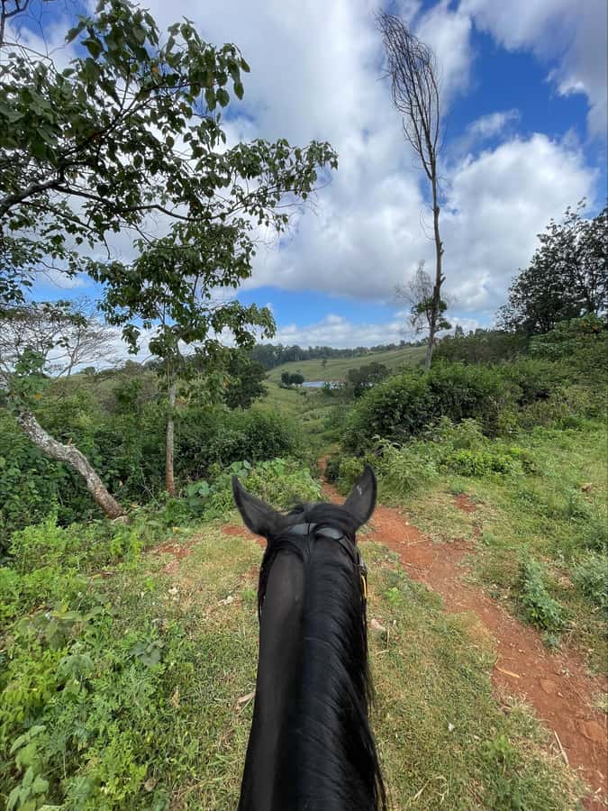 Nairobi: Horseback Riding Tour Through Maize Plantation - Key points before you saddle up