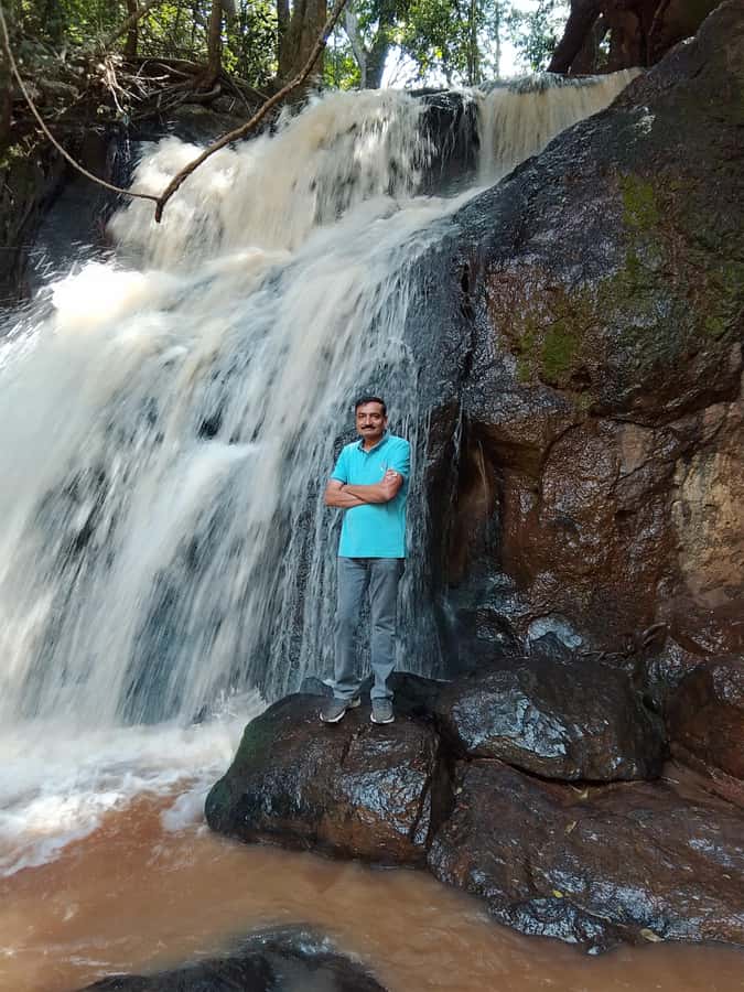 Nairobi: Karura Forest Guided Walking Tour - Indigenous trees and Kikuyu meaning