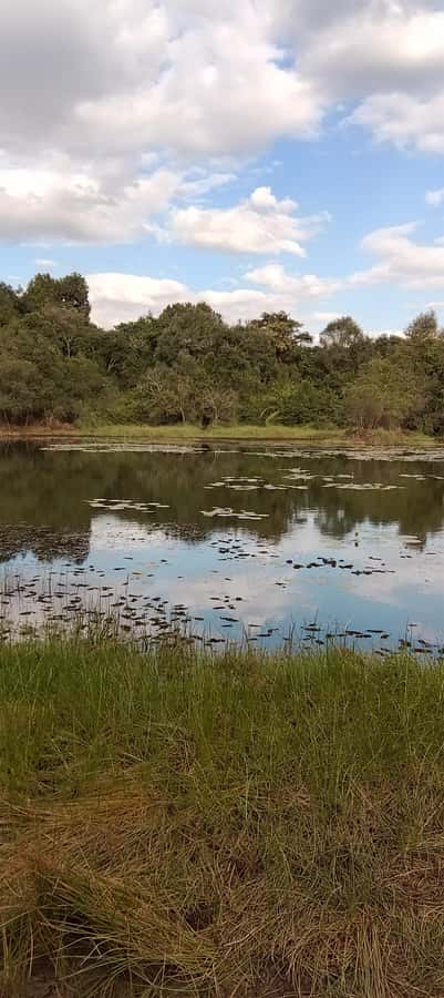 Nairobi: Karura Forest Guided Walking Tour - Who should book this walk?