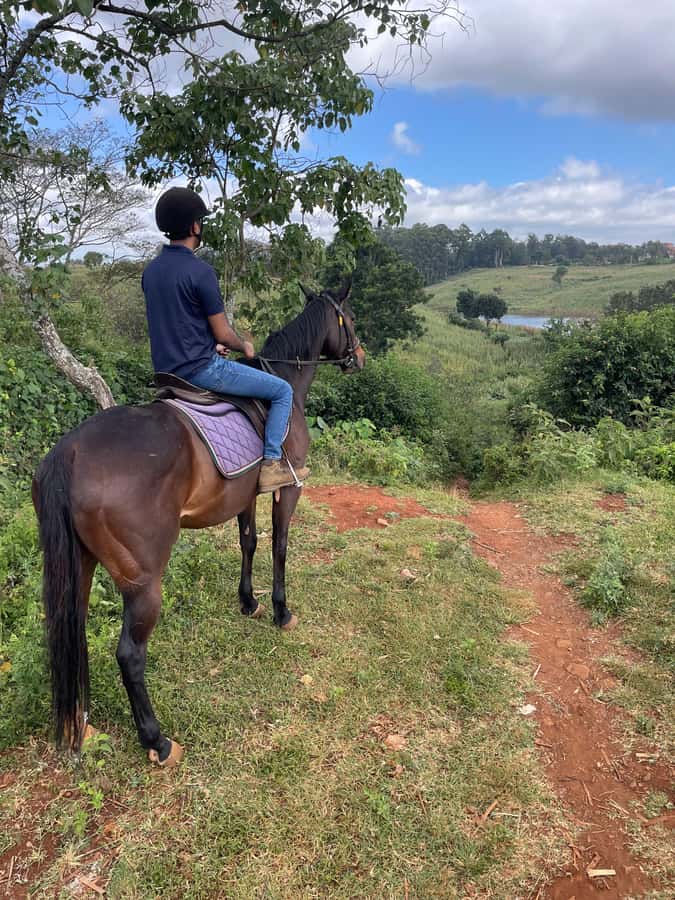 Nairobi: Karura Forest Horseback Riding Tour - Key points before you saddle up