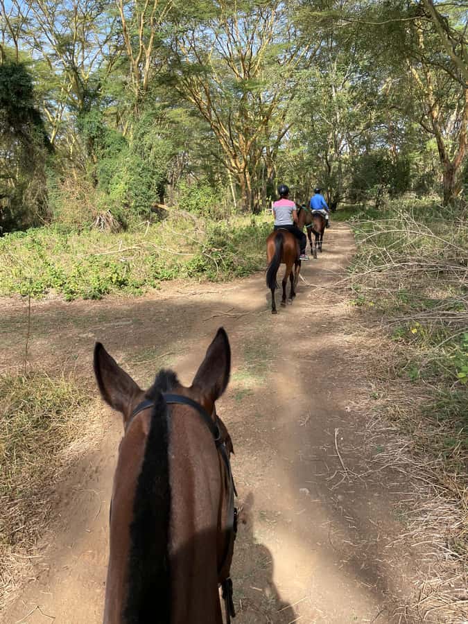Nairobi: Karura Forest Horseback Riding Tour - The first minutes on horseback