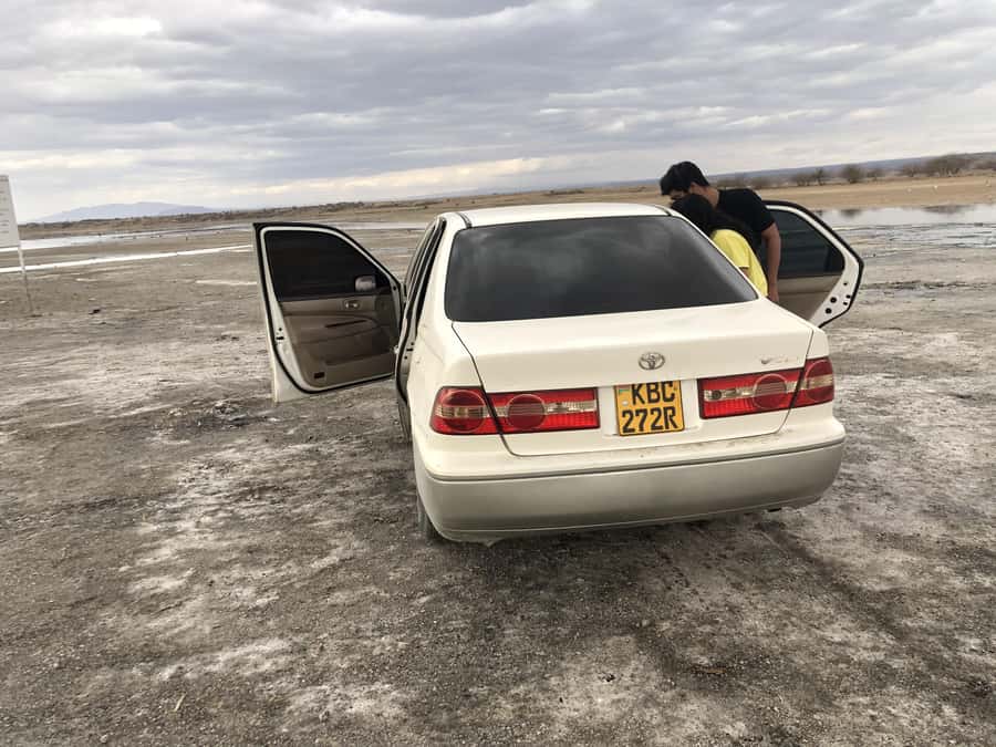 Nairobi: Lake Magadi overnight Trip - Reading the colors of Lake Magadi