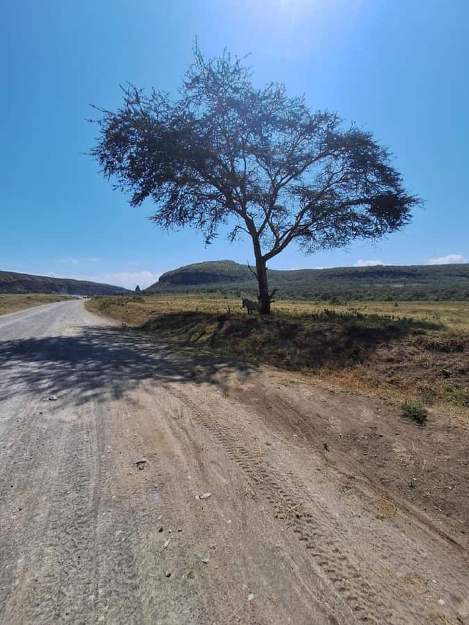 Nairobi: Lake Naivasha & Hell’s Gate National Park Day Trip - What the $36 price really buys you