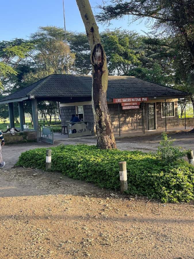 Nairobi: Lake Nakuru Park and Lake Naivasha Boat Ride - The long road from Nairobi to the Rift Valley