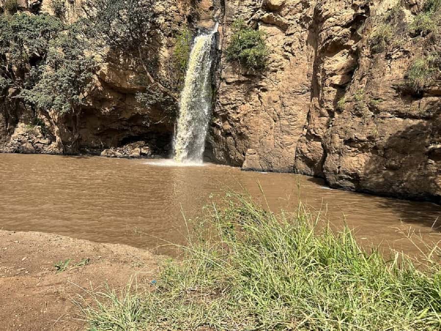 Nairobi: Lake Nakuru Park and Lake Naivasha Boat Ride - Rhinos, giraffes, antelope, and possible big cats