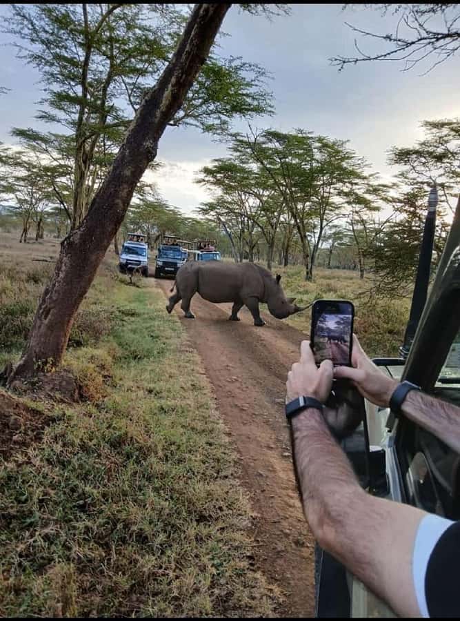 Nairobi: Lake Nakuru Park and Lake Naivasha Boat Ride - The Rhino Sanctuary and conservation context