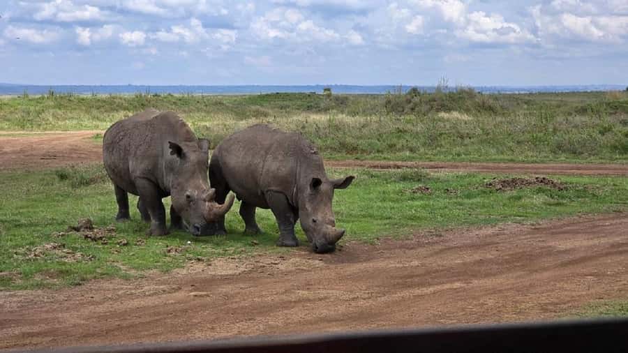 Nairobi: Lake Nakuru Park and Lake Naivasha Boat Ride - Baboon Cliff and the best lake views