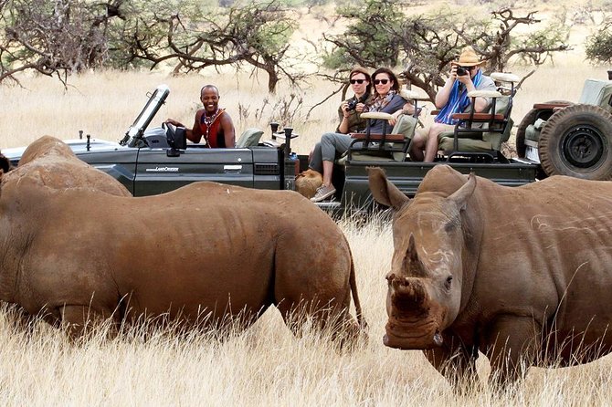Nairobi Morning Safari/elephant Orphanage/giraffe Centre - The guides are a major part of the experience