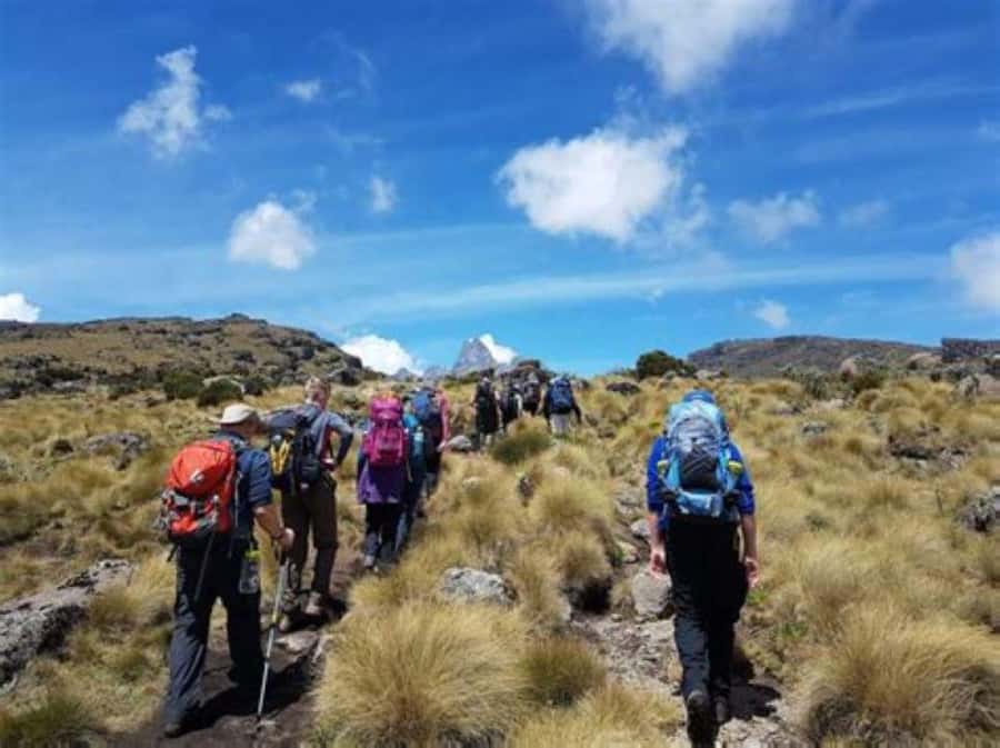Nairobi: Mount Kenya Day Hike with Lunch - Nairobi at 6 a.m. and the long road to Mount Kenya