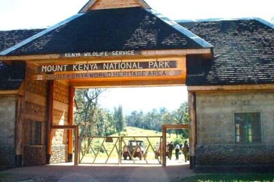 Mount Kenya Day Hike with Lunch