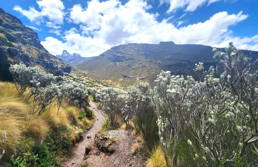Nairobi: Mount Kenya Day Hike with Lunch - Three hours uphill to Old Moses Camp