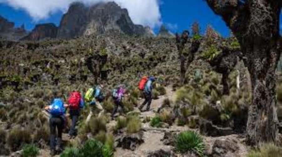 Nairobi: Mount Kenya Day Hike with Lunch - Batian and Nelion from the high camp