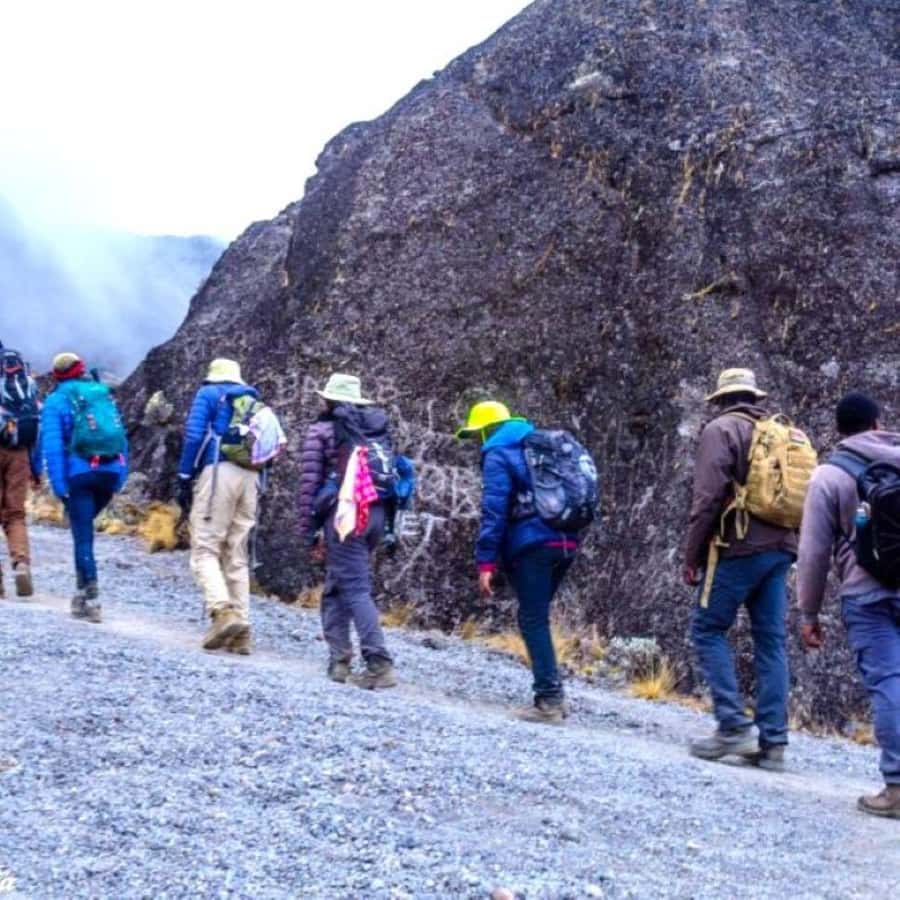 Nairobi: Mount Kenya Day Hike with Lunch - Returning through Naro Moru to Nairobi